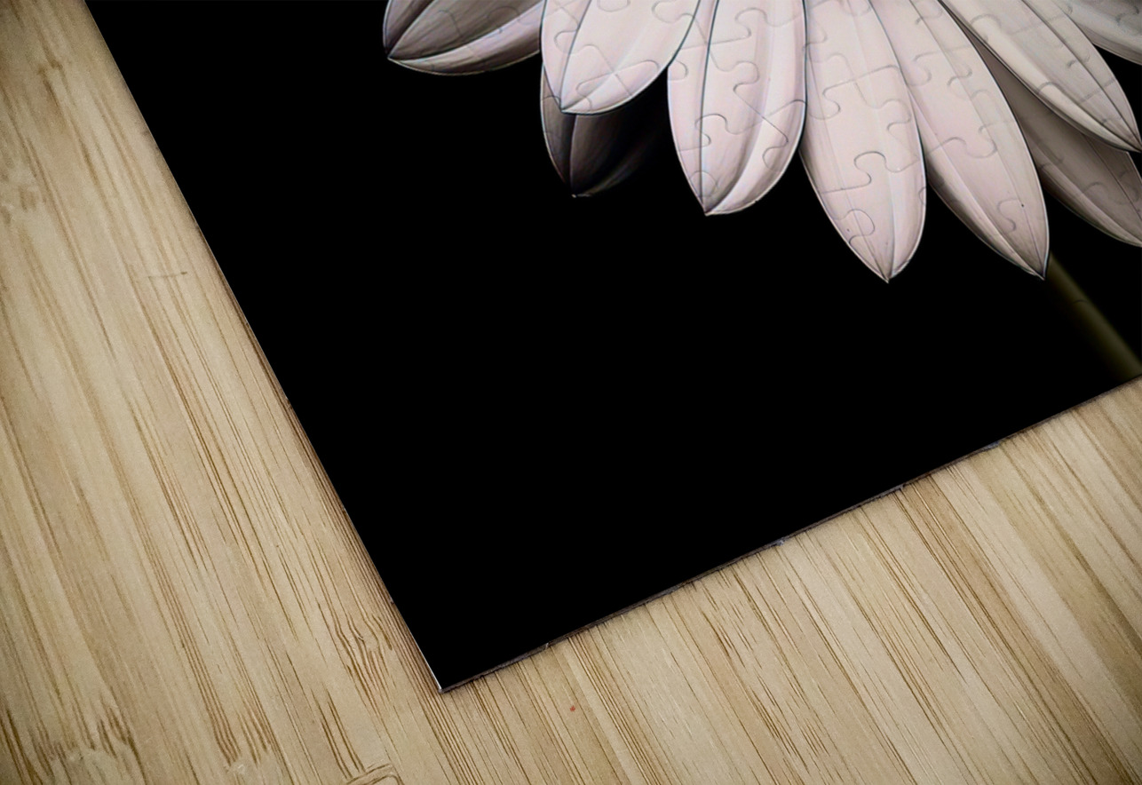 Petal Perspective 31 - Macro Floral Art Prints Savage Art Prints Puzzle