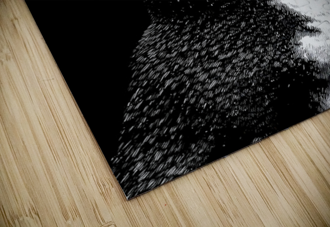 Cry of the Rockhopper – Modern Wildlife Print Savage Art Prints Puzzle