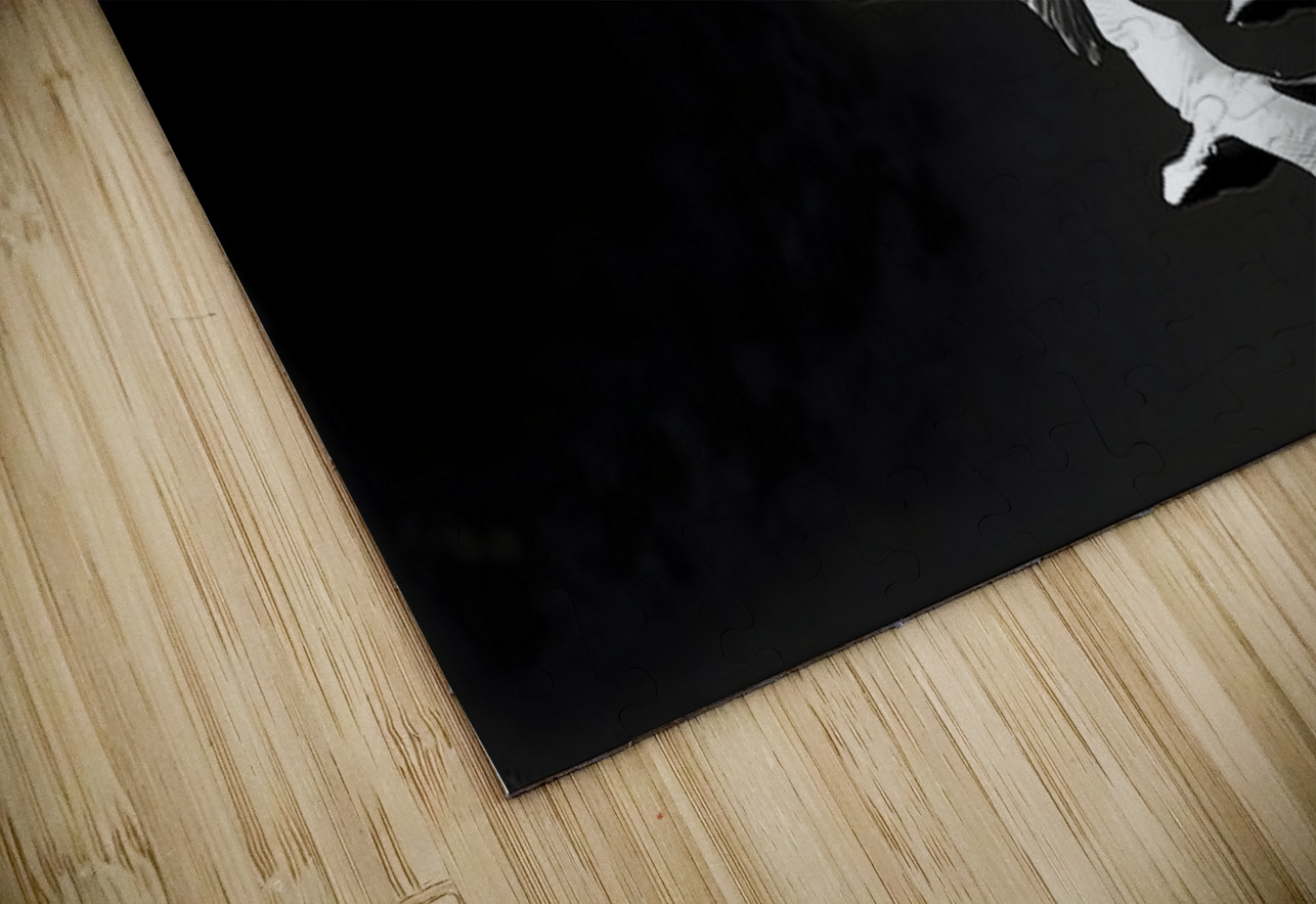 Flight Code – Geese Formation Print Savage Art Prints Puzzle