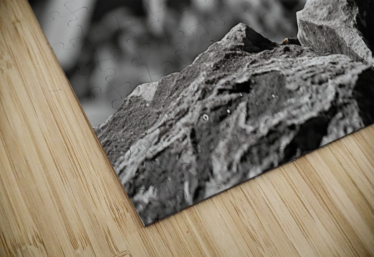 Resilient Heart – Yellow Flower Among Stones Print Savage Art Prints Puzzle