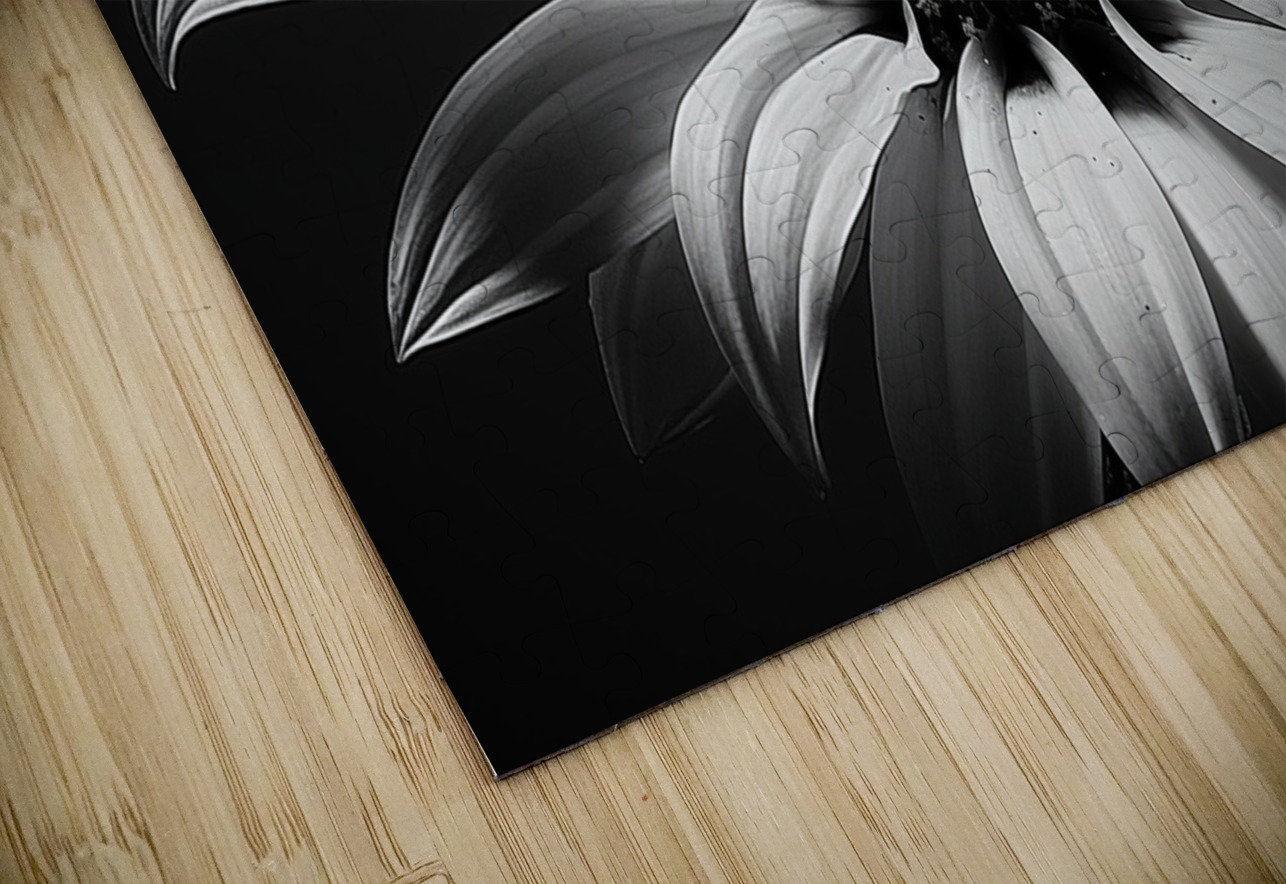 Shadow Bloom – Black and White Sunflower Portrait Print Savage Art Prints Puzzle
