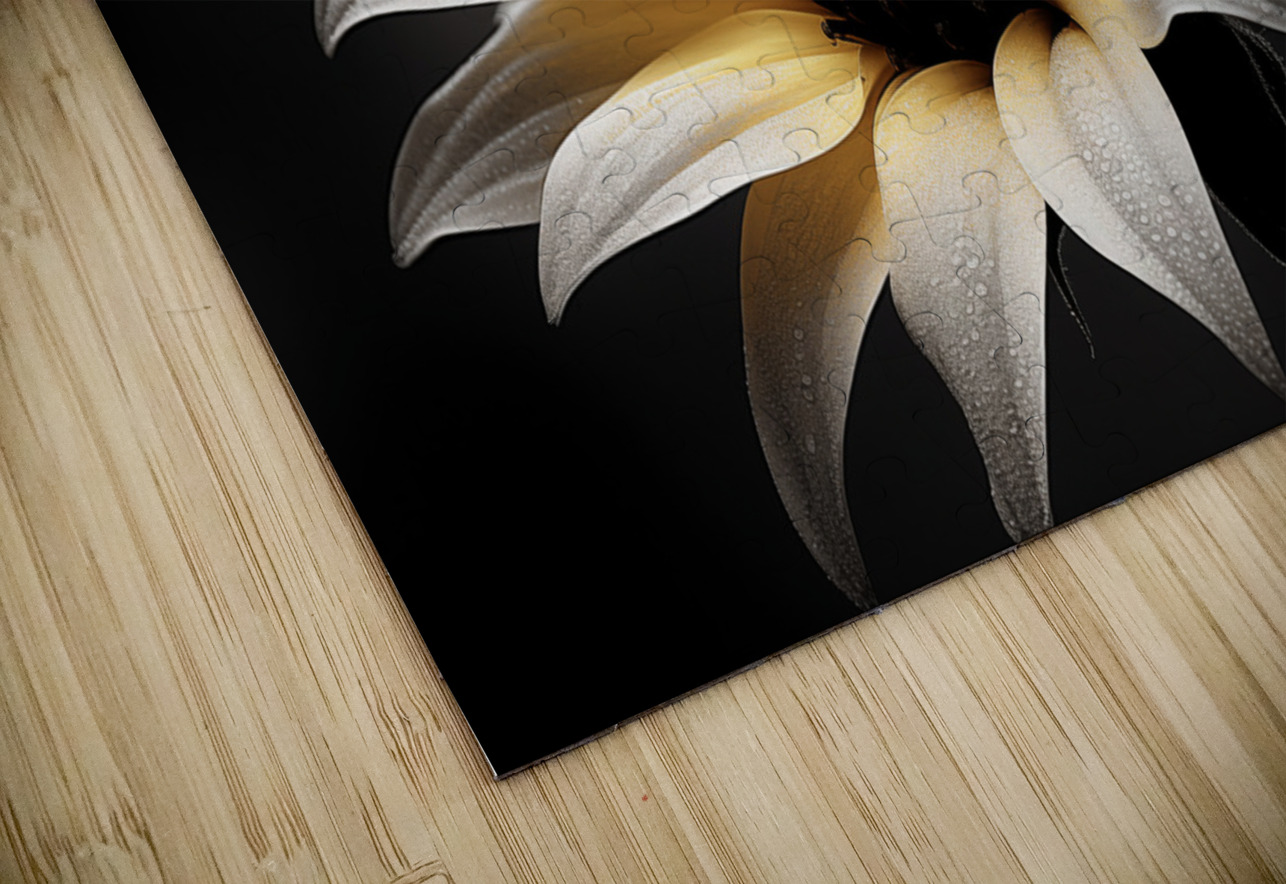 Silver Petals – Monochrome Sunflower Portrait Print Savage Art Prints Puzzle