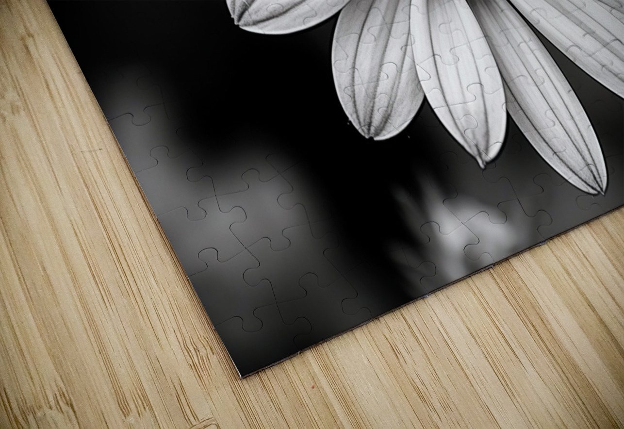 Fields of Memory – Black and White Sunflower Portrait Savage Art Prints Puzzle