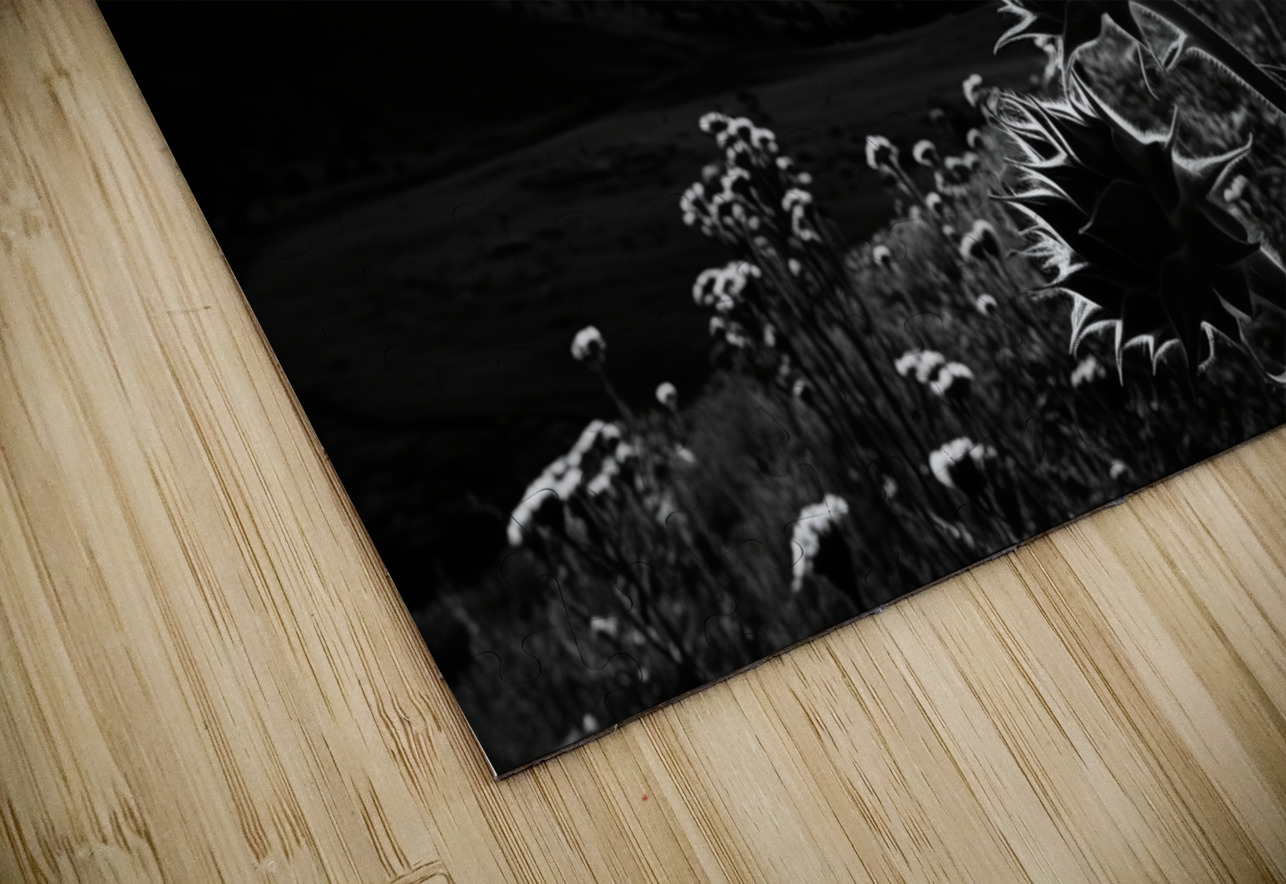 Moonlit Bloom – Night Flower Monochrome Print Savage Art Prints Puzzle