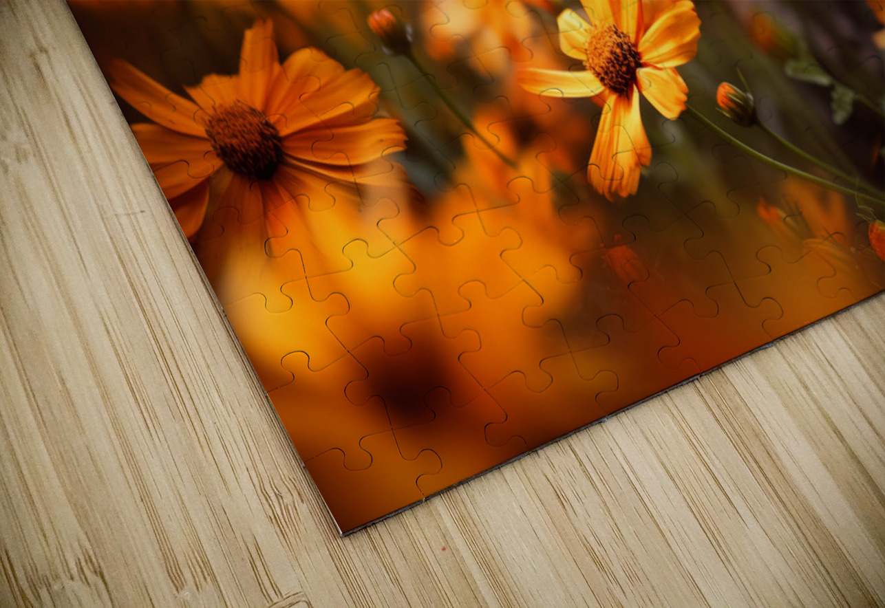 Honeyfield Glow – Warm Sunflower Bokeh Print Savage Art Prints Puzzle