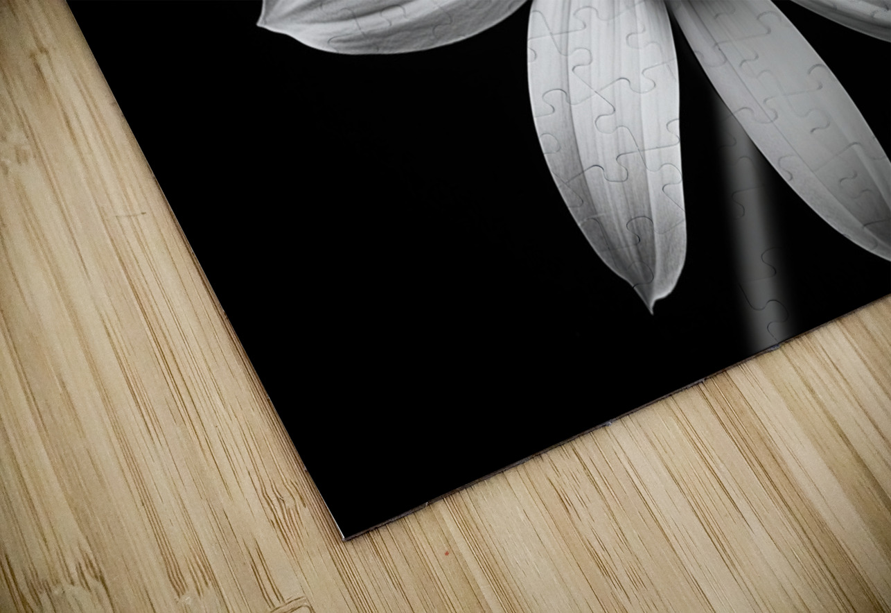 Obsidian Bloom II – Minimal Floral Print Savage Art Prints Puzzle