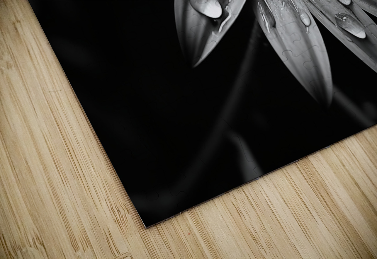 Obsidian Bloom I – Graphic Floral Print Savage Art Prints Puzzle