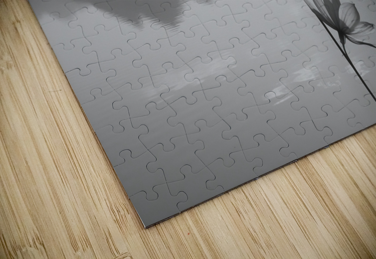 Desert Sunflower – Stormfront Monochrome Landscape Print Savage Art Prints Puzzle