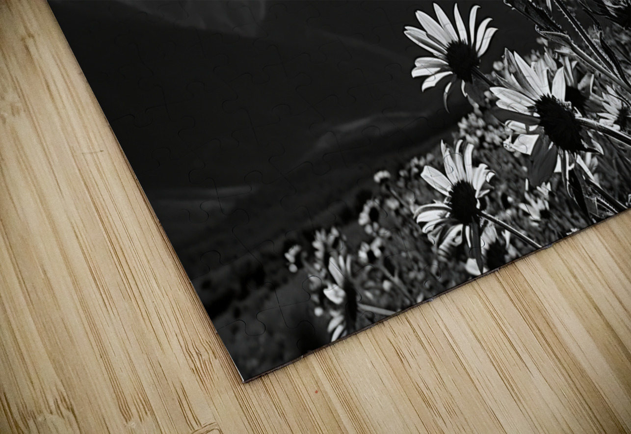 Bloomscape – Wide Field Floral Monochrome Art Print Savage Art Prints Puzzle