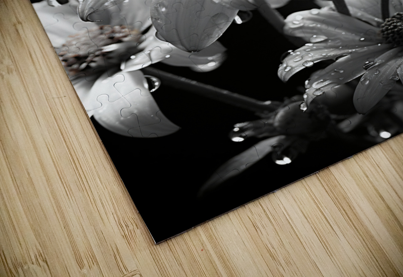 Bloomed Affinity – Monochrome Daisy Duo Art Print Savage Art Prints Puzzle