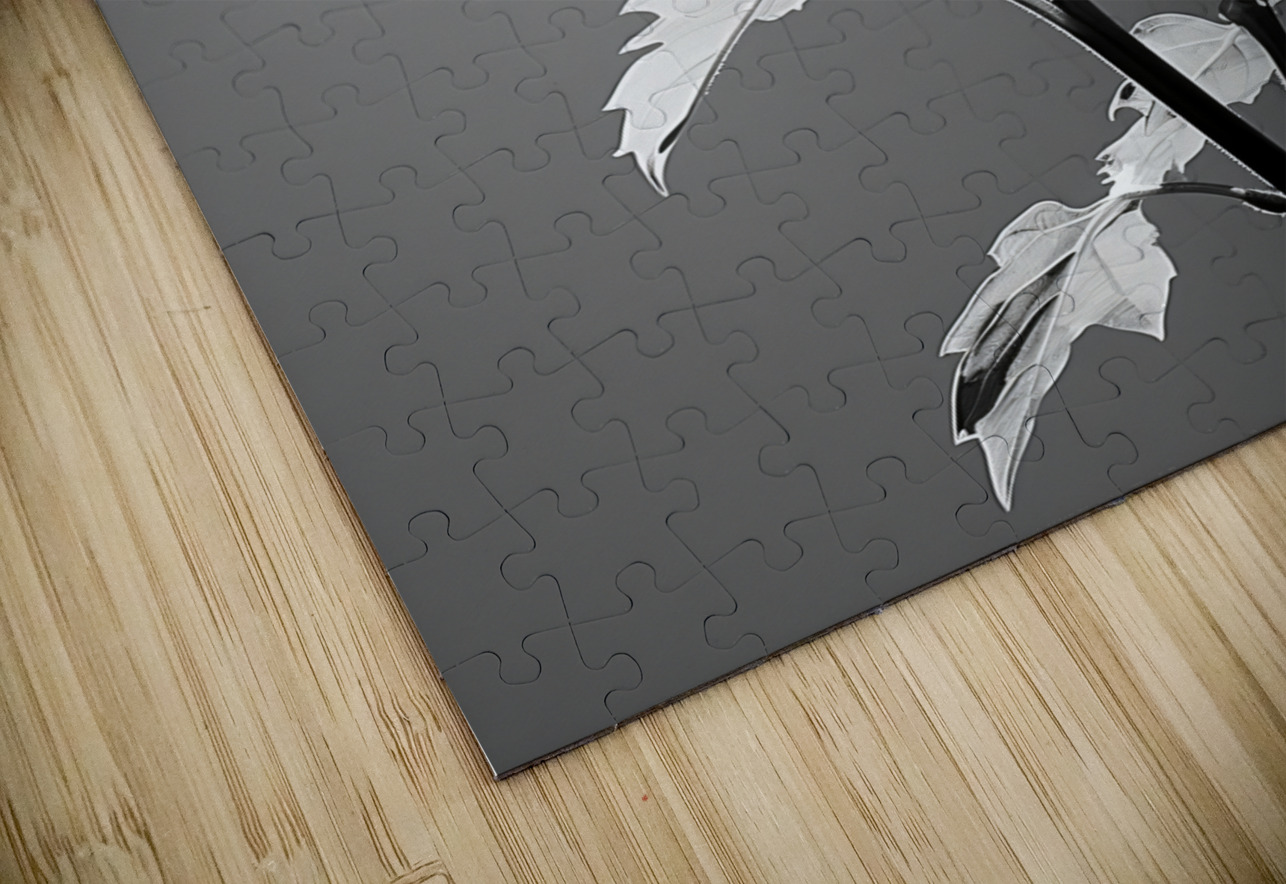 SPF - Sunlit Sunflower Monochrome Art Print Savage Art Prints Puzzle