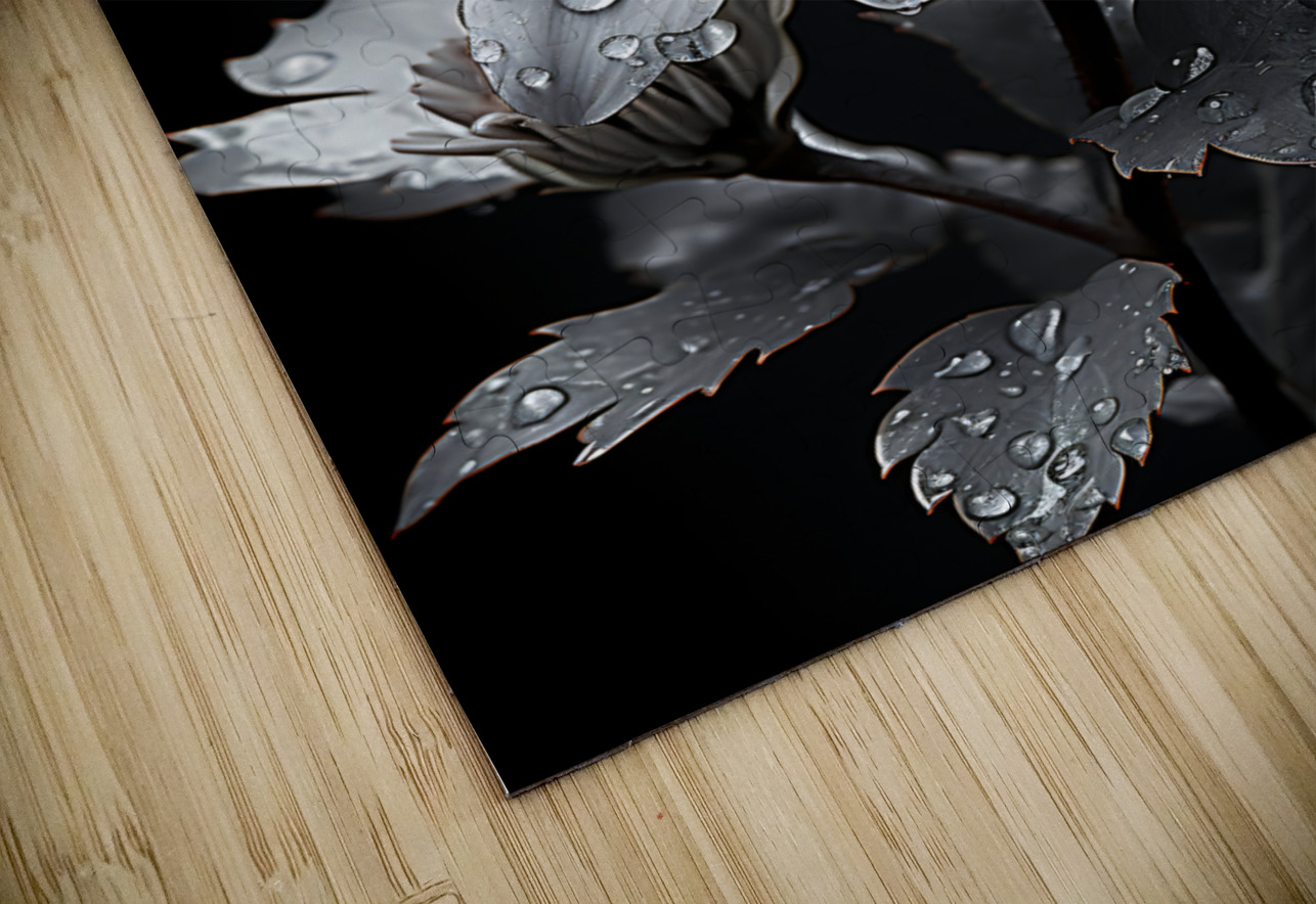Petal Portrait – Reflective Floral Art Print Savage Art Prints Puzzle