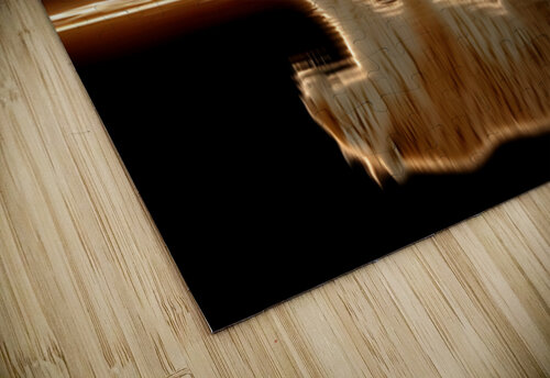 Golden Monarch – Tiger Reflection Print Savage Art Prints puzzle