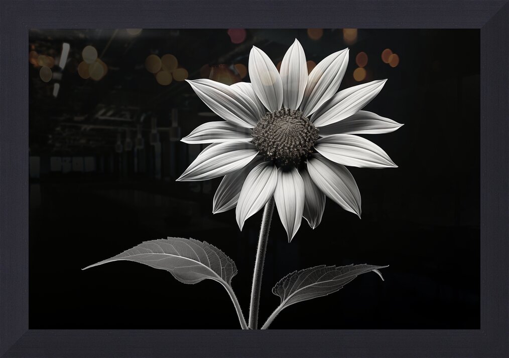 Impression de cadre personnalisé