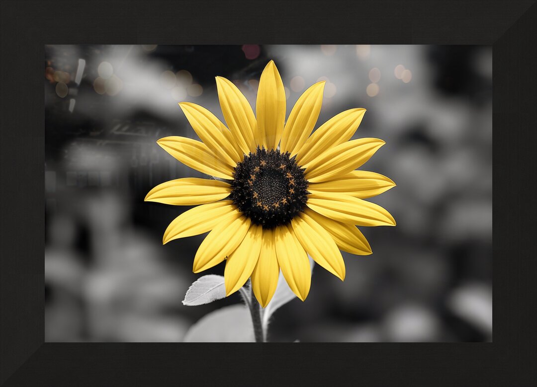 Impression de cadre personnalisé