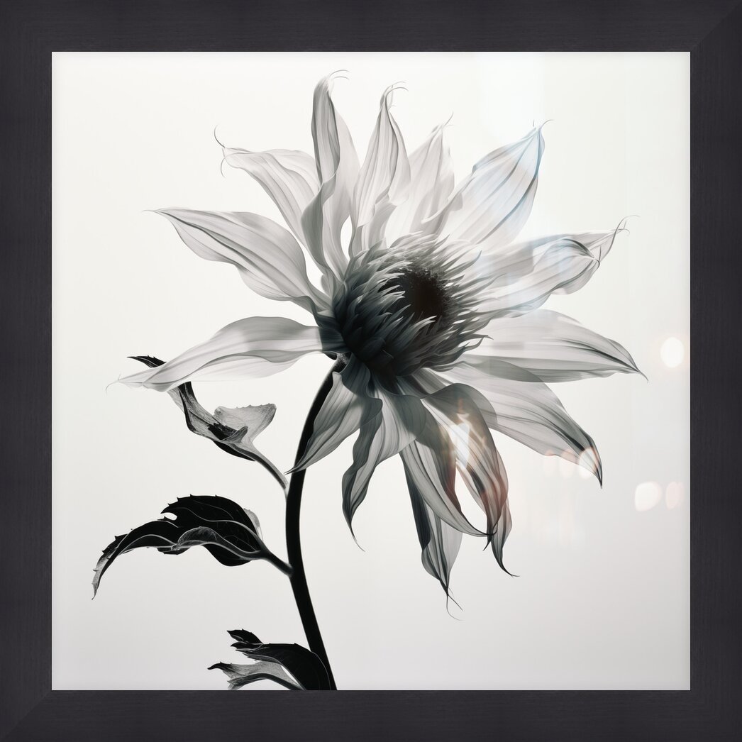 Impression de cadre personnalisé