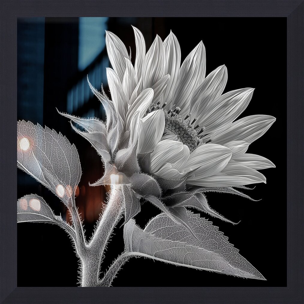 Impression de cadre personnalisé