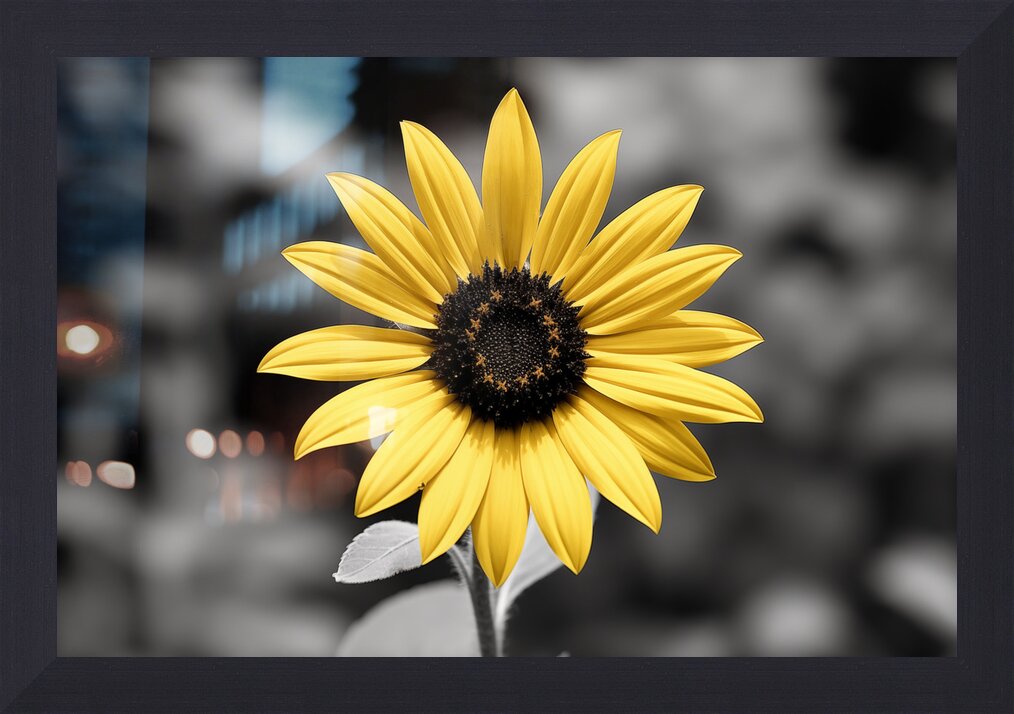 Impression de cadre personnalisé