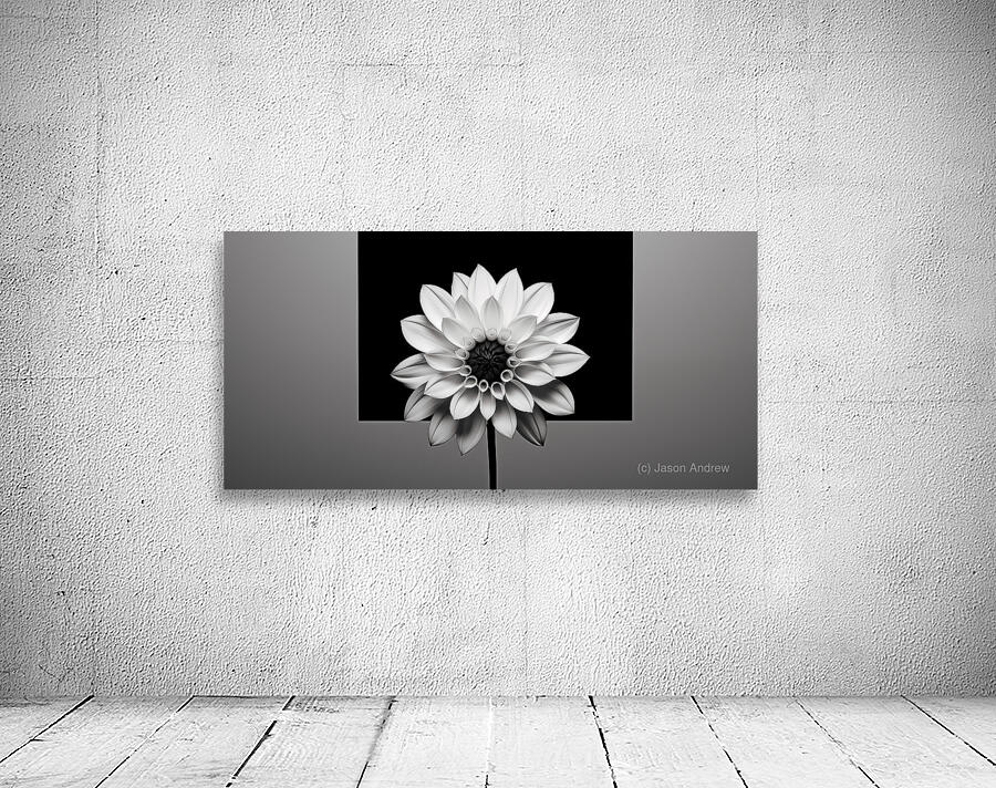 Solo - Minimal Floral Art Prints Wall Preview