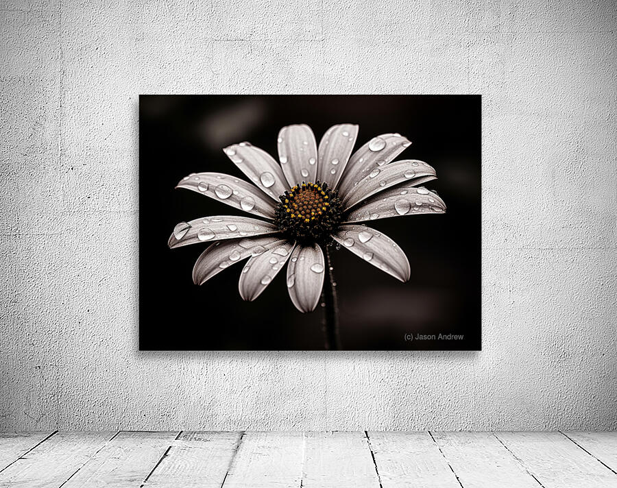 Petal Perspective 44 - Macro Floral Art Prints Wall Preview