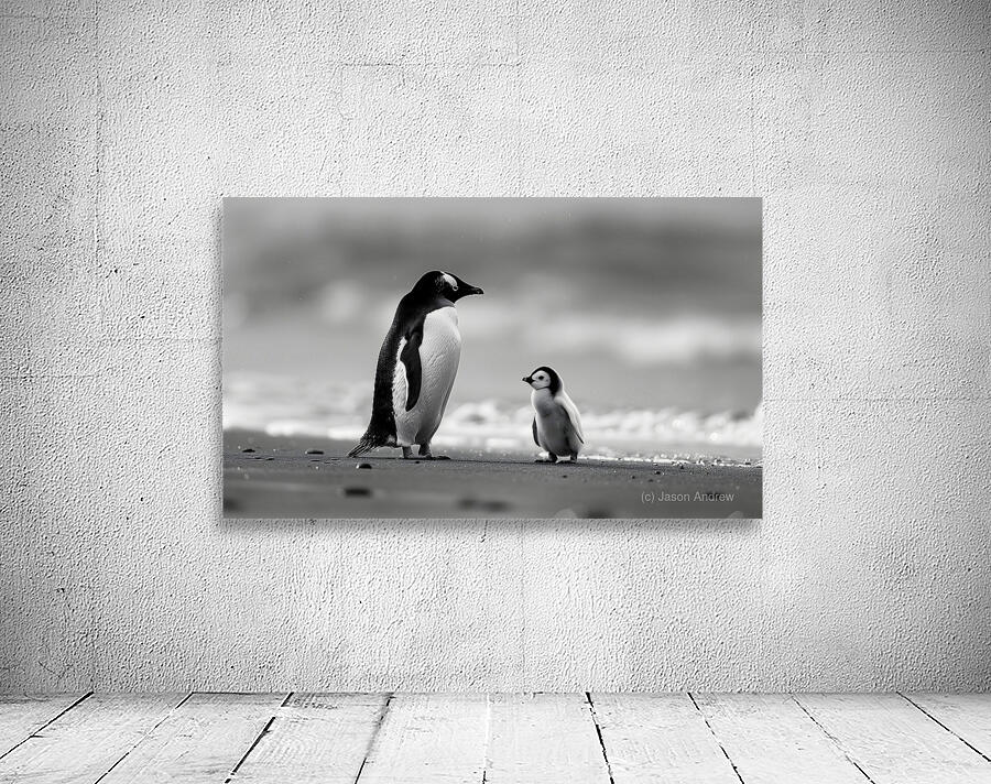 Under His Wings - Inspirational Monochrome Art Prints Wall Preview
