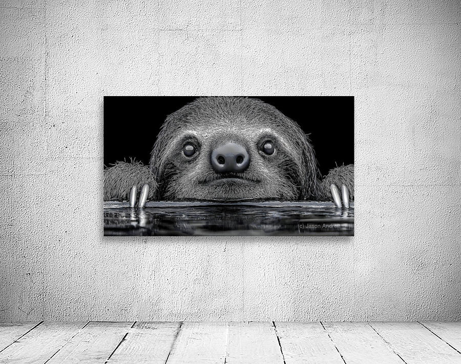 Sloth – Wildlife Portrait Art Print Wall Preview