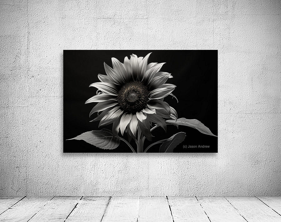 Obsidian Petals – Dark Botanical Fine Art Print Wall Preview