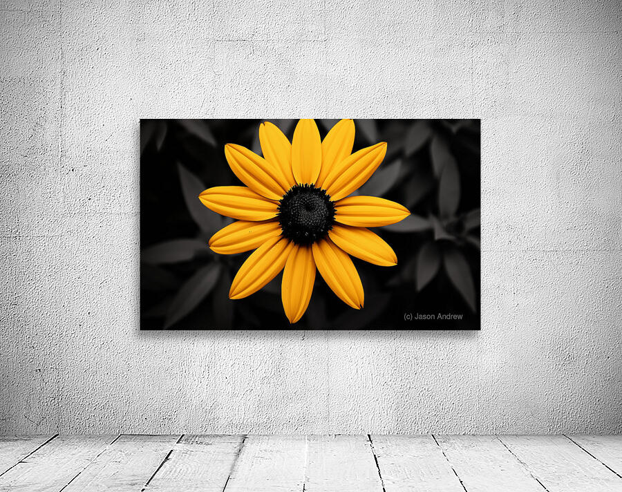 Lone Glow – Yellow Sunflower on Black Print Wall Preview