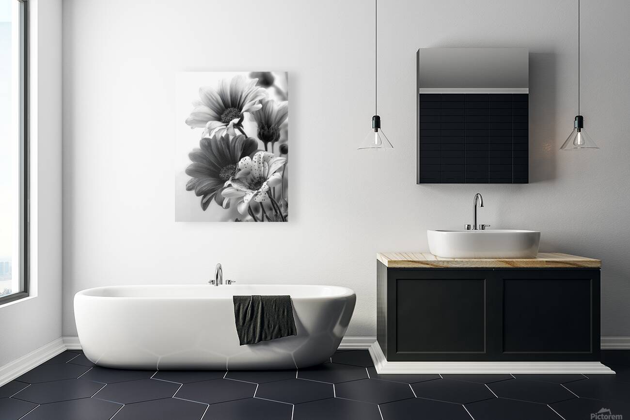 Sans Couleur - Without Color - Monochrome Floral Art Prints Reproduction