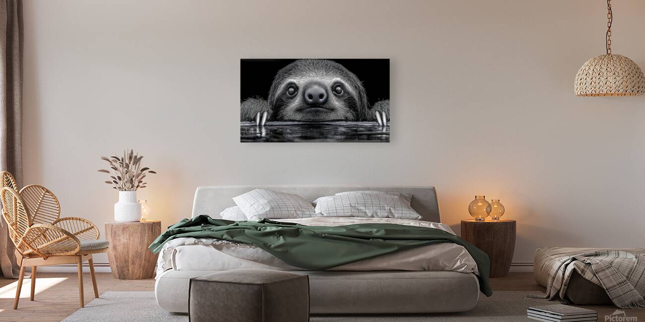 Sloth – Wildlife Portrait Art Print Reproduction