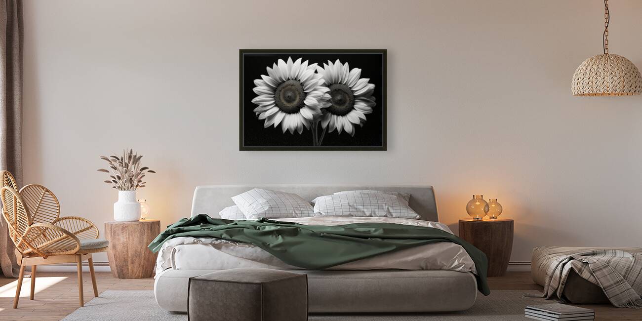 Twin Souls – Monochrome Sunflower Pair Print Reproduction