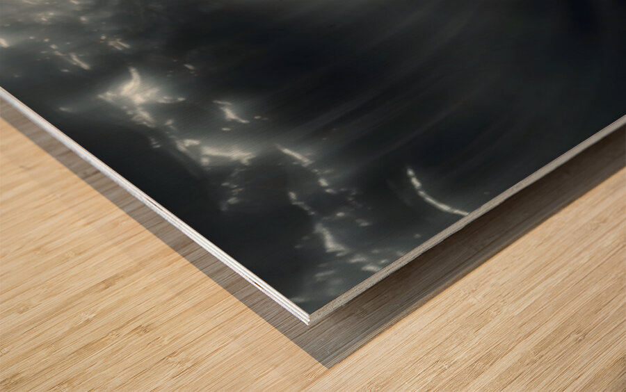 In the Presence of Majesty - Underwater Whale and Diver Art Prints Wood print