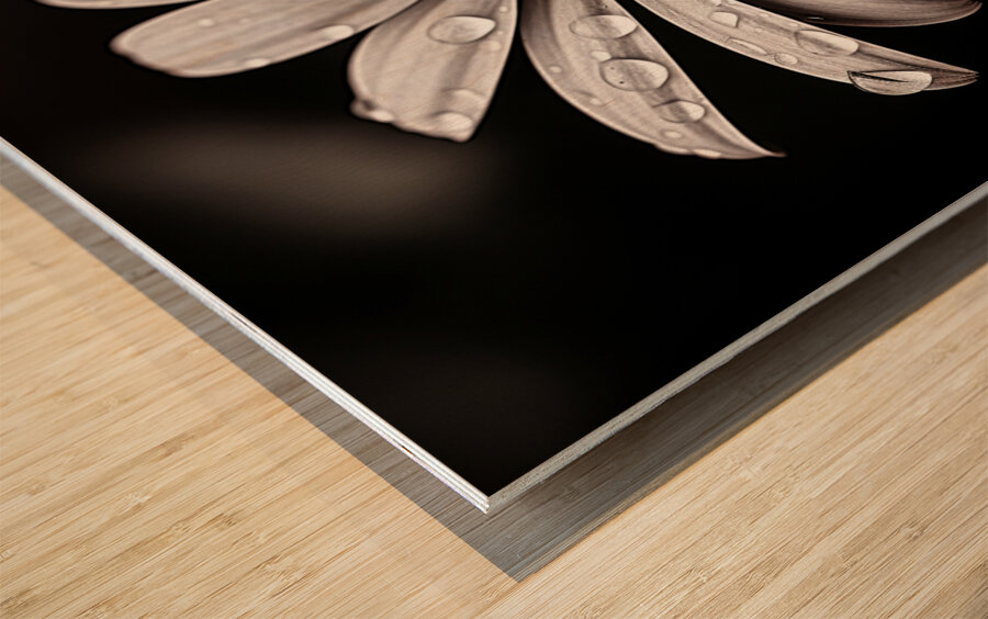 Petal Perspective 44 - Macro Floral Art Prints Wood print