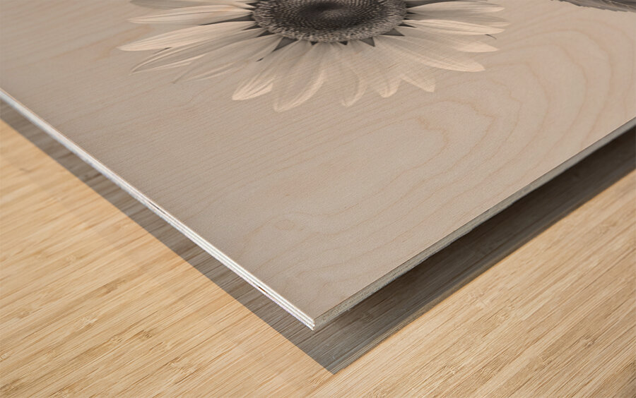 Sunflower Selfie 7 - Sunflower Portrait Art Prints Wood print