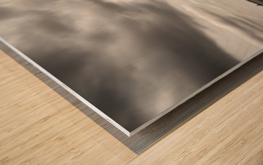 Hope In Contrast - Minimal Sunflower Art Prints Wood print