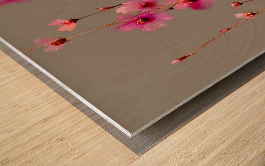 Eveil Des Petales - Awakening Of Petals - Modern Floral Art Prints Wood print