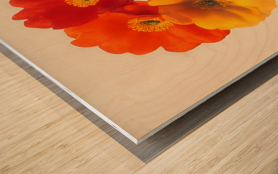 Amber Glass – Bold Bloom Print Wood print