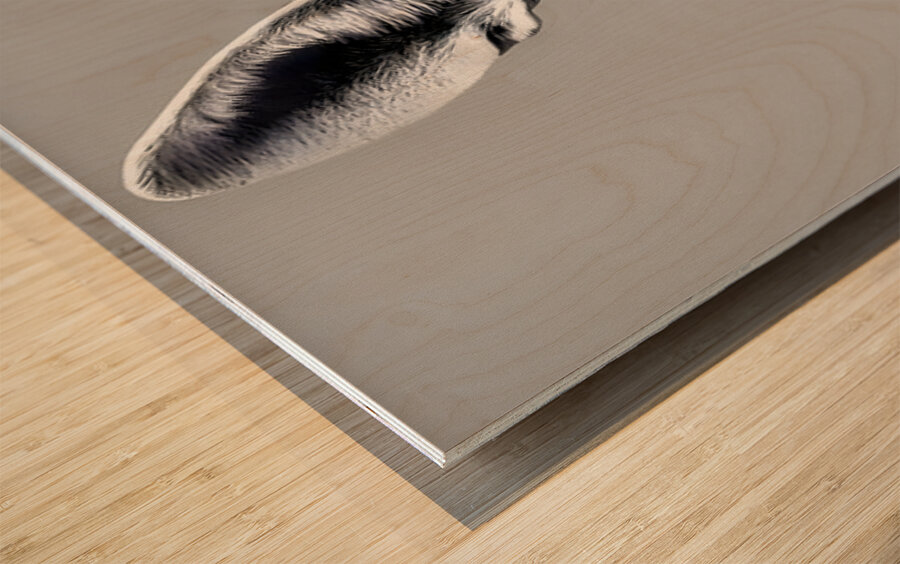 Loud and Clear – Fennec Fox Portrait Print Wood print