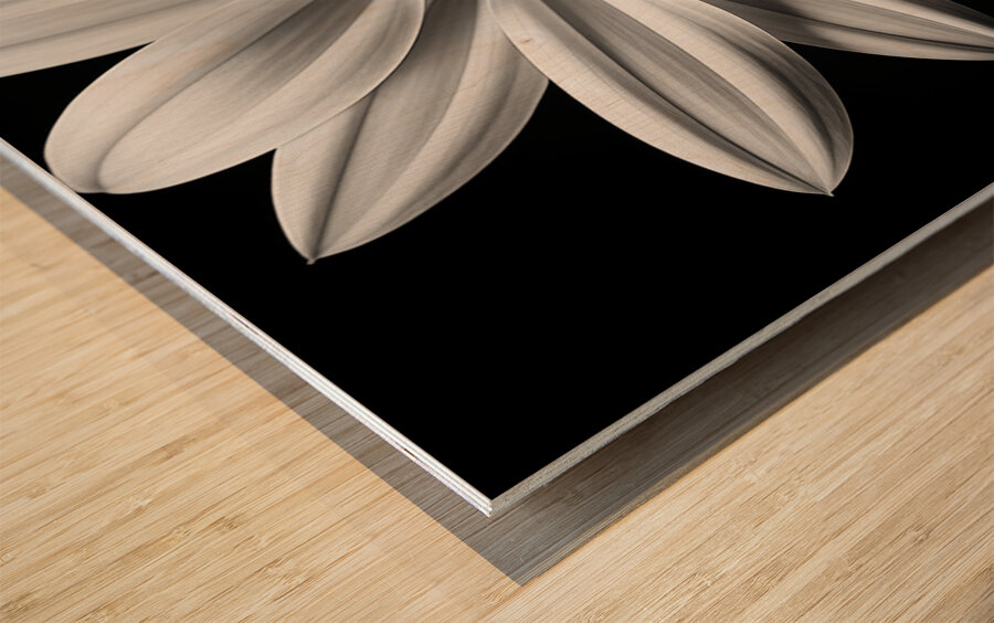 Echo in Silence – Monochrome Bloom Print Wood print