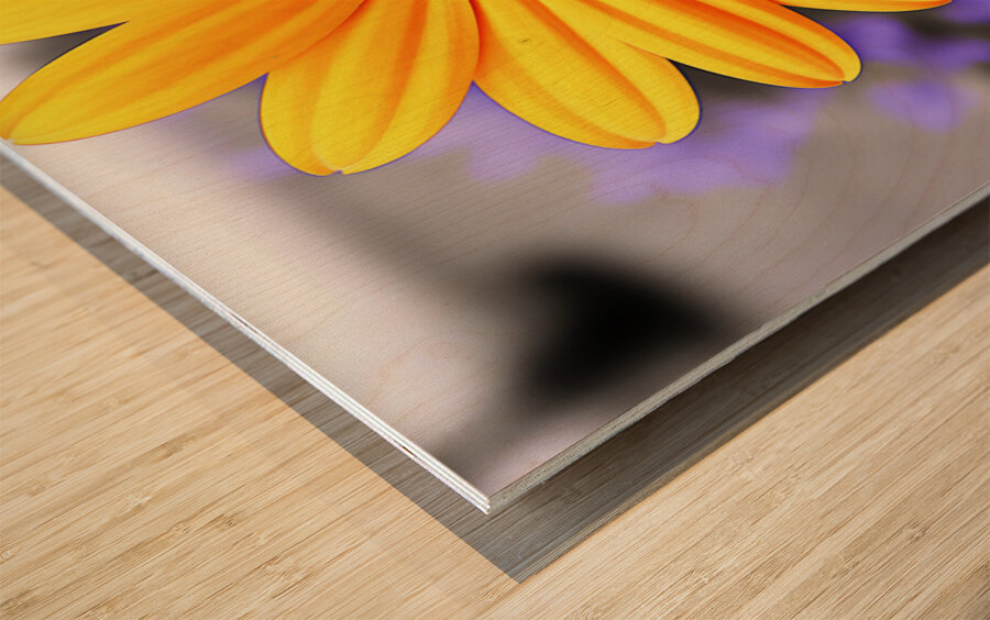 Golden Spirit – Yellow Bloom with Violet Shadows Wood print