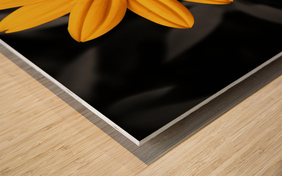 Lone Glow – Yellow Sunflower on Black Print Wood print