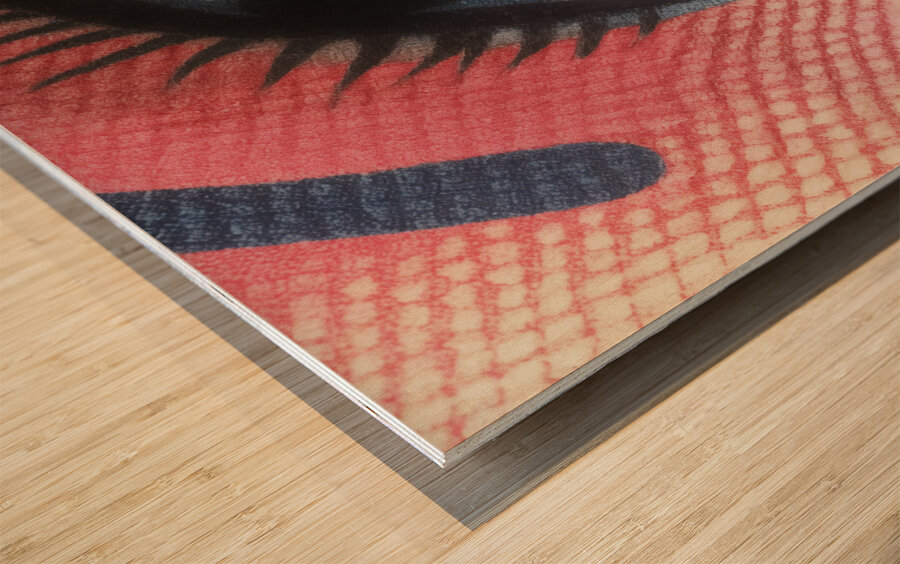 iBallin – Pop Art Print Wood print