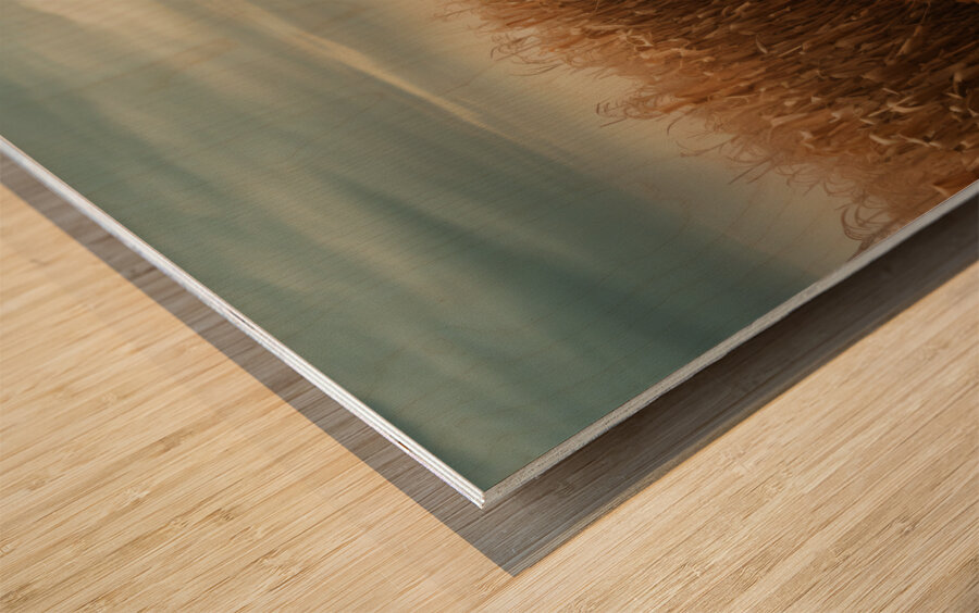 Forgotten – Rustic Autumn Path Landscape Art Print Wood print